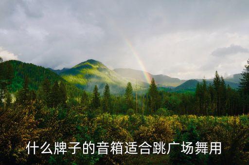 什么牌子的音箱适合跳广场舞用