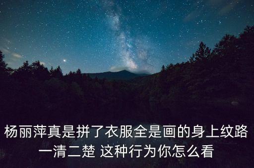 如何体现杨丽萍对舞蹈追求完美，分析杨丽萍的孔雀舞所表达的意境和美感