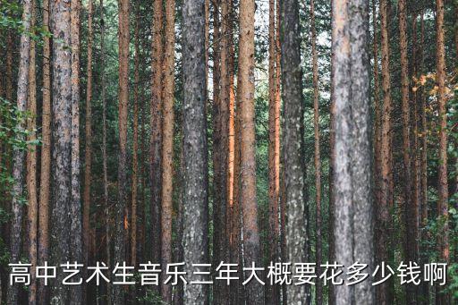 高中音乐艺术生费用高吗，高中艺术生学音乐三年能花多少钱