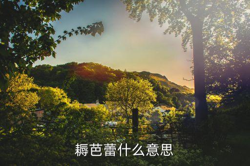 耨芭蕾什么意思