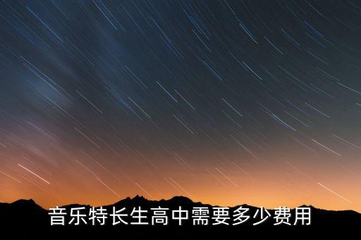 音乐特长生高中需要多少费用