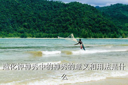 造化钟神秀中的神秀的意义和用法是什么