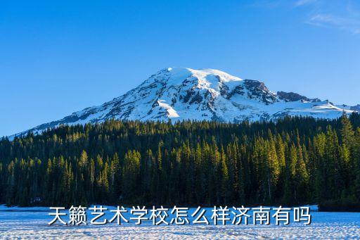 天籁艺术学校怎么样济南有吗
