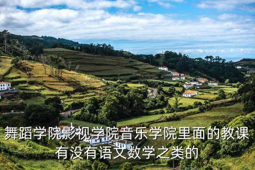 舞蹈学院影视学院音乐学院里面的教课有没有语文数学之类的