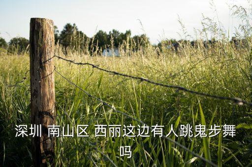 深圳 南山区 西丽这边有人跳鬼步舞吗