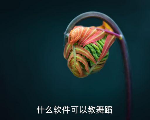 什么软件可以教舞蹈