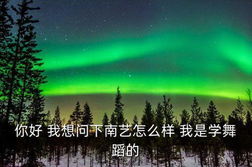 你好 我想问下南艺怎么样 我是学舞蹈的