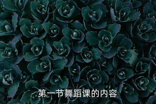第一节舞蹈课的内容