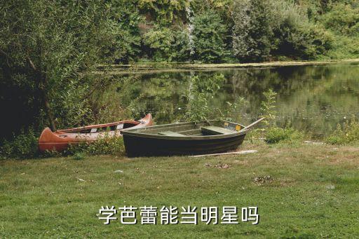 学芭蕾能当明星吗
