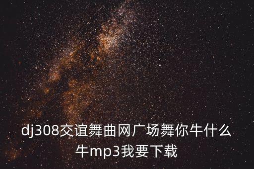 dj308交谊舞曲网广场舞你牛什么牛mp3我要下载