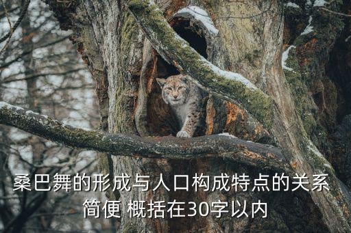 桑巴舞的形成与人口构成特点的关系 简便 概括在30字以内