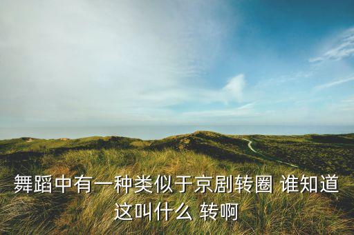 舞蹈中有一种类似于京剧转圈 谁知道这叫什么 转啊