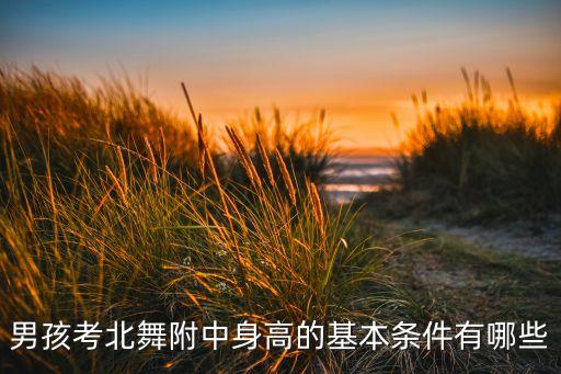 男孩考北舞附中身高的基本条件有哪些