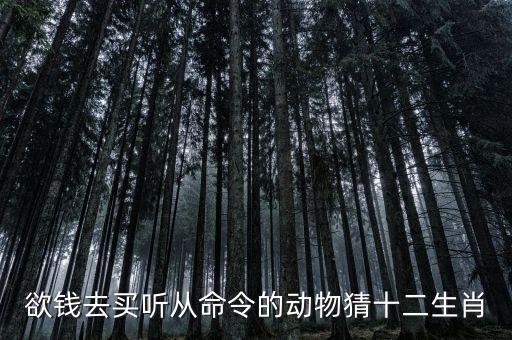 欲钱去买听从命令的动物猜十二生肖