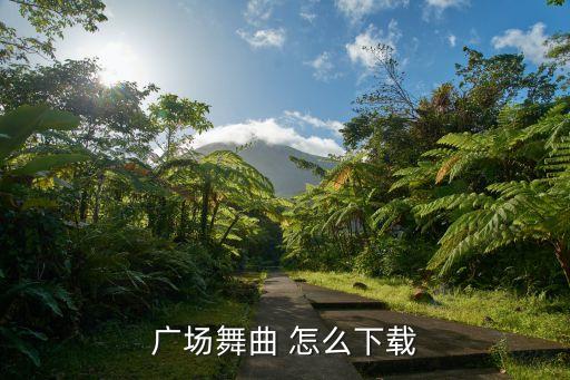 广场舞曲 怎么下载
