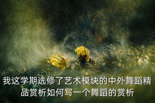 我这学期选修了艺术模块的中外舞蹈精品赏析如何写一个舞蹈的赏析
