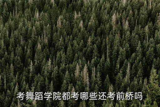 芭蕾考附中都考什么，北京舞蹈学院附中芭蕾舞2012的人多吗 难考吗