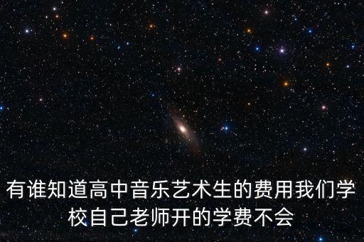 高中音乐集训要多少钱，学了一年钢琴了下学期要去集训请问大概需要多少钱啊