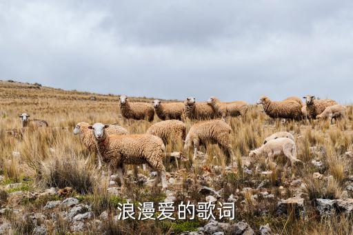 浪漫爱的歌词