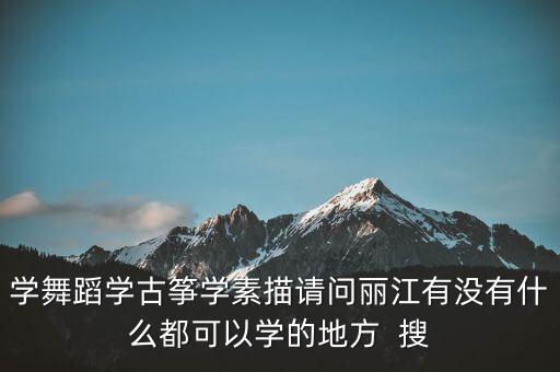 学舞蹈学古筝学素描请问丽江有没有什么都可以学的地方  搜