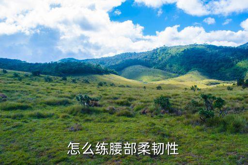 如何锻炼腰部的柔韧性，怎么练腰部柔韧性