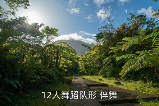 12人舞蹈队形 伴舞