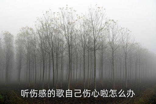 听伤感的歌自己伤心啦怎么办