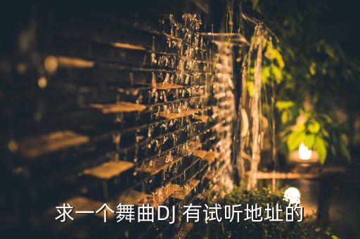 求一个舞曲DJ 有试听地址的