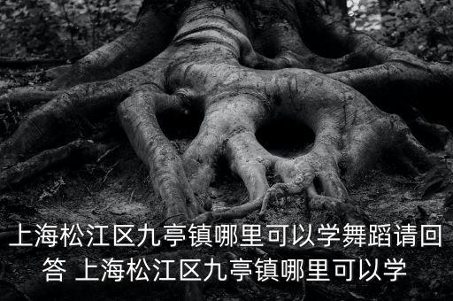 有什么亭广场舞队，我们团的名字叫tatsy烟雨亭我想求个和我们团名字有关的舞团职位
