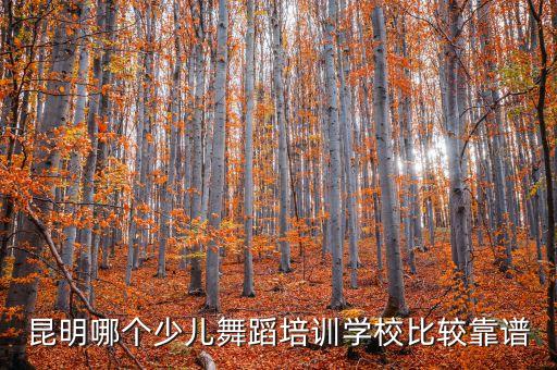 昆明哪个少儿舞蹈培训学校比较靠谱