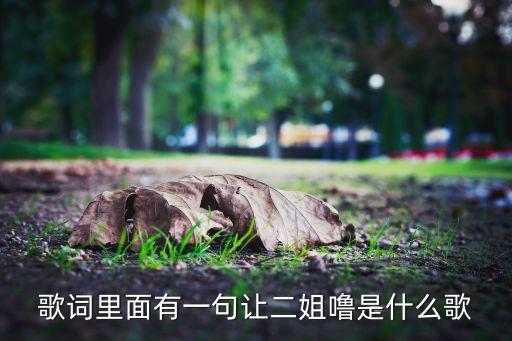 歌词里面有一句让二姐噜是什么歌