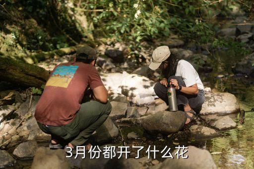 3月份都开了什么花