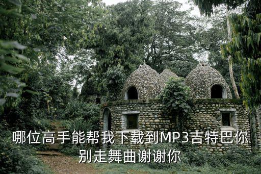 哪里下载吉特巴舞曲，哪儿能下载吉特巴舞曲