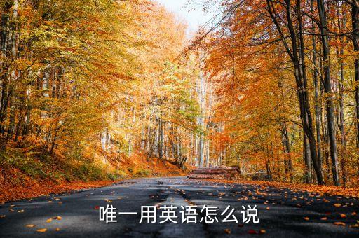 独你 唯一 英文怎么说，youaretheonlgone是什么意思