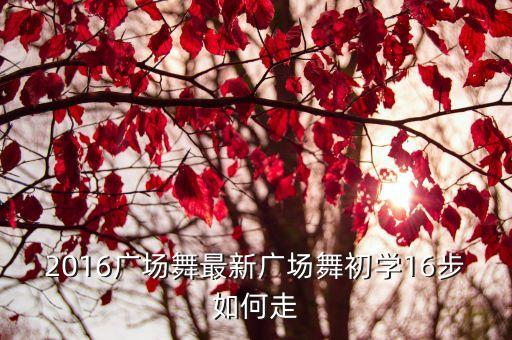 2016广场舞最新广场舞初学16步如何走