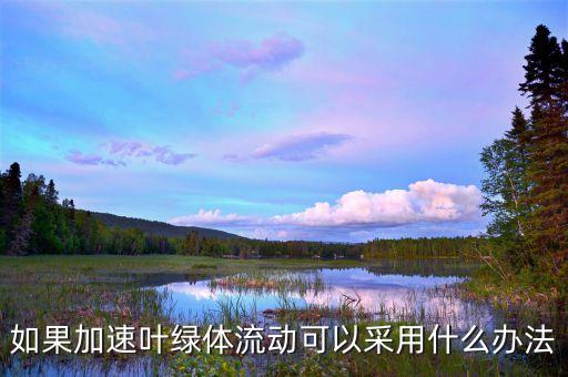 有什么方法能让叶子动起来，我的太阳能花的叶子不动是怎么回事叶找不到开关该怎么才能让