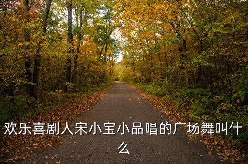 欢乐喜剧人宋小宝小品唱的广场舞叫什么