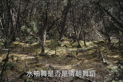 水袖舞是否是清朝舞蹈