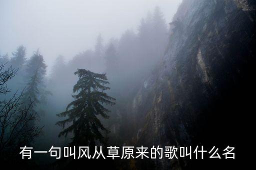 有一句叫风从草原来的歌叫什么名