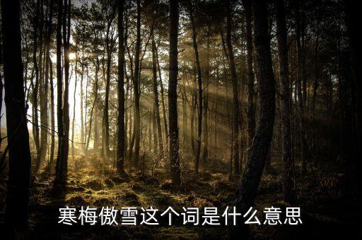 凌寒傲雪是什么意思，寒梅傲雪这个词是什么意思