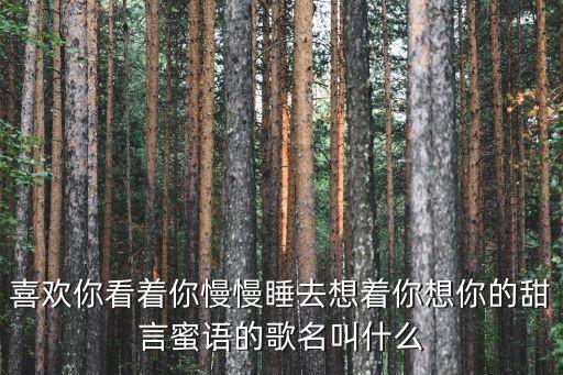 喜欢你看着你慢慢睡去想着你想你的甜言蜜语的歌名叫什么
