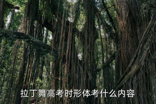 拉丁舞高考时形体考什么内容