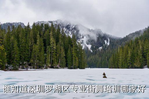 谁知道深圳罗湖区专业街舞培训哪家好
