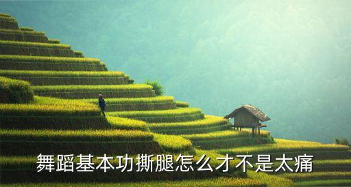舞蹈基本功撕腿怎么才不是太痛