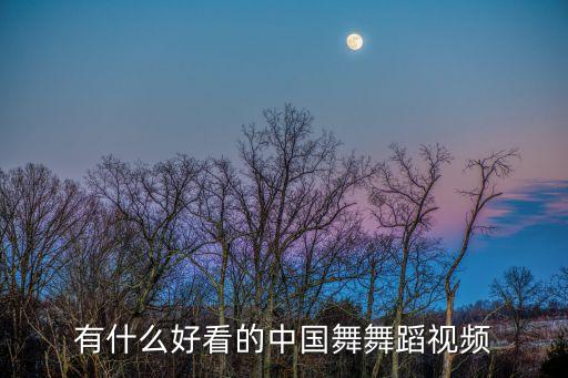 好看的舞蹈视频中国舞女生版大全，古典舞 欢快的民族舞 好学 好看 求推荐