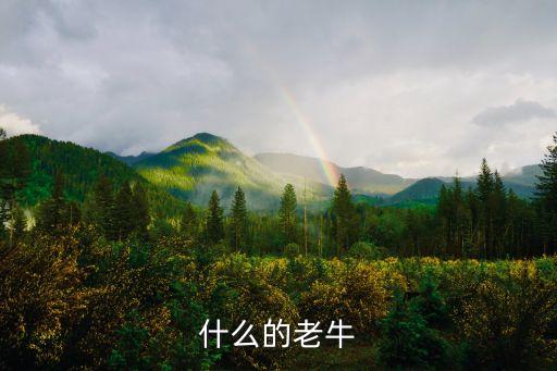 什么的老牛