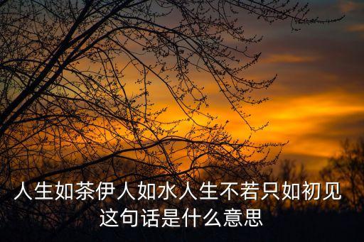 人生如茶伊人如水人生不若只如初见 这句话是什么意思