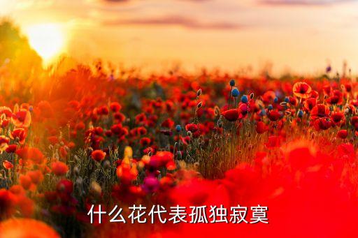 什么花代表孤独寂寞