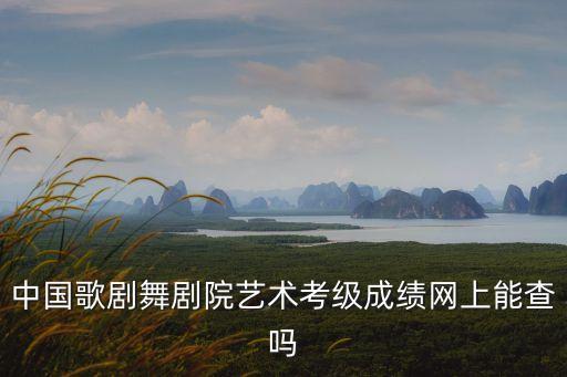 中国歌剧舞剧院艺术考级成绩网上能查吗
