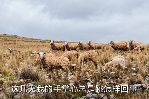 这几天我的手掌心总是跳怎样回事